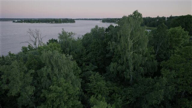 Ocean view through forest at Sunset