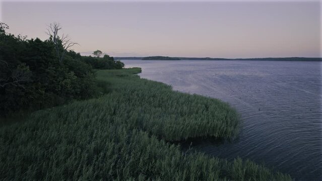 Forest coast at Dusk 