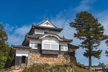 岡山 備中松山城 現存天守