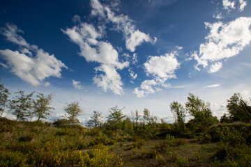 blue sky with clouds