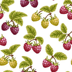 Vector pattern with multi-colored raspberries.Multicolored raspberries with leaves on a white background in a seamless pattern.