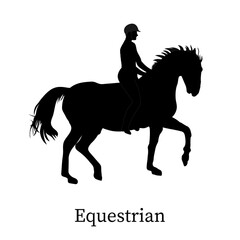 Silhouette horse riding action in transparent background. Vector illustration.

