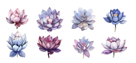 Mystical symbols of moon lotus chakras hamsa and unalome