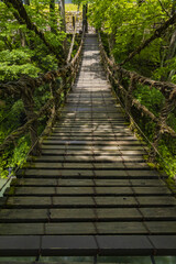 Obraz premium 福井のかずら橋