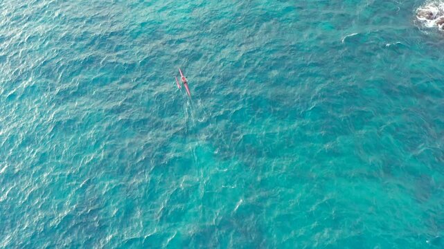 Hawaiian outrigger Canoe rowing on turquoise blue sea in Hawaii overhead top down aerial drone shot of sport activity over reef.