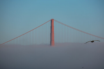 World famous red steel suspension bridge in San Francisco port entrance with Golden Gate State park...