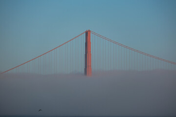 Obraz premium World famous red steel suspension bridge in San Francisco port entrance with Golden Gate State park nature lands hidden in cloud mist fog bank with clear sky pilars
