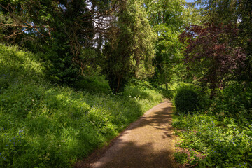 Fototapeta premium Castle Grounds, a public park in Reigate, Surrey, UK. While the castle no longer exists, the grounds are a pleasant place to walk in the centre of Reigate.