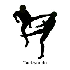 Silhouette Taekwondo icons in transparent background. Vector illustration.