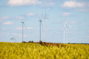 Windmill farm. Landscape in the countryside on a sunny day.