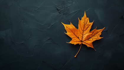 A vibrant maple leaf against a dark background creates a striking contrast highlighting the beauty of autumn and nature's changing seasons