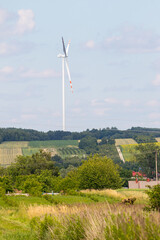 Windmill farm. Landscape in the countryside on a sunny day.