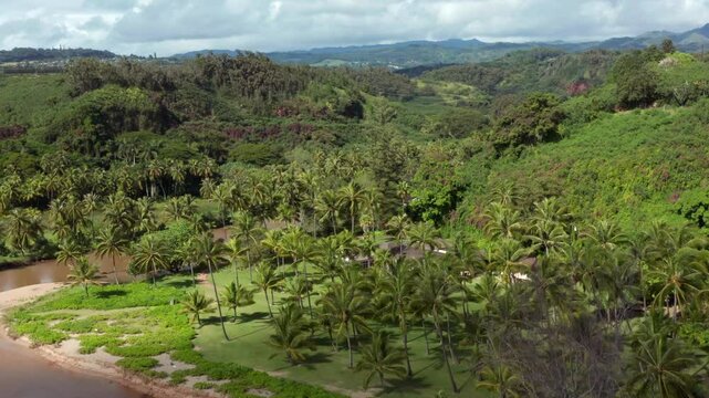 Allerton Garden house and Queen Emma&rsquo;s Cottage at the National Tropical Botanical hidden between palm trees in Kauai Hawaii. Aerial drone shot