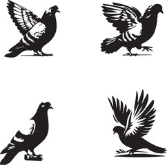 Pigeons black and white silhouette assets in vector form 