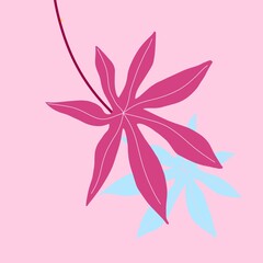 未命名作品