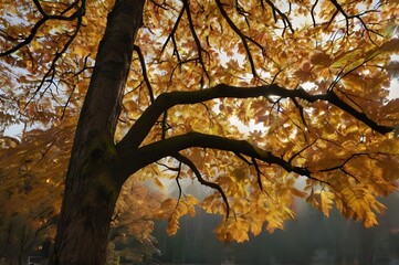 Beautiful view of the meadow with old big tree on it in autumnal park in sunny day.
