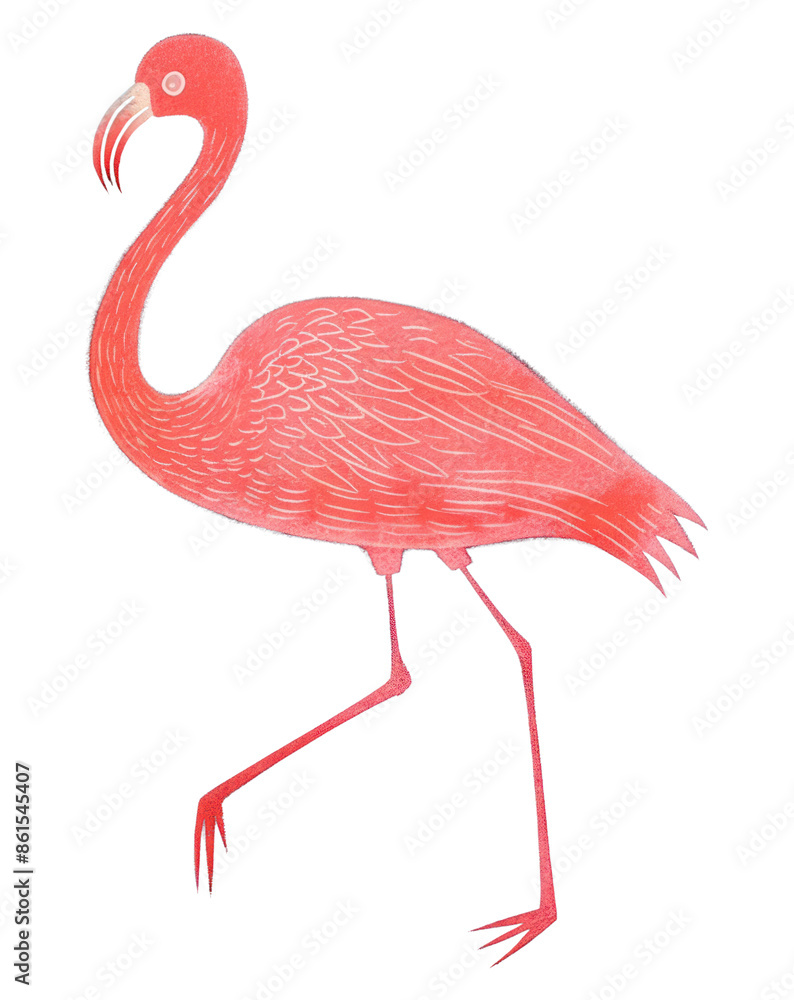 Sticker PNG  Chalk style flamingo animal bird red.