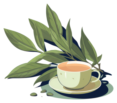 PNG Tea leaves tea beverage herbal. - Powered by Adobe
