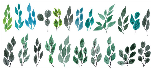 Set watercolor leaves element collection. Watercolor floral illustration. branches for wedding stationary, greetings, background