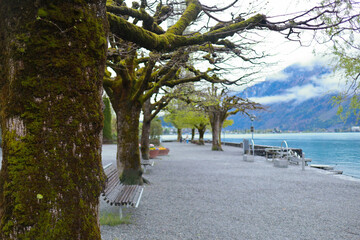 Brienz town on Lake Brienz by Interlaken, Switzerland, with snow covered Alps mountains in background