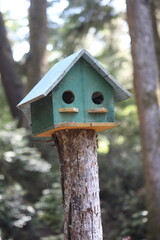 Colorful wooden birdhouses