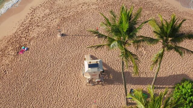 Lifeguard beach tower with green palm trees. Aerial top down on in sunny tropical place