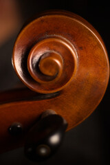 Cellist