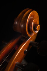 Cellist