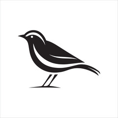 Minimal birds black icon, illustration, vector on white background