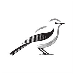 Minimal birds black icon, illustration, vector on white background