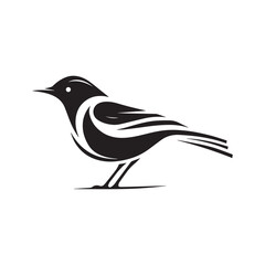 Minimal birds black icon, illustration, vector on white background