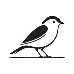 Minimal birds black icon, illustration, vector on white background