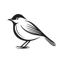 Minimal birds black icon, illustration, vector on white background