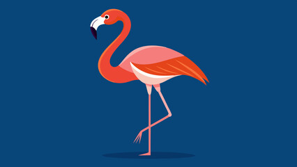 illustration of a flamingo