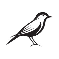 Minimal birds black icon, illustration, vector on white background