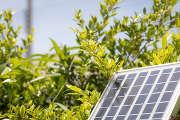 Fototapeta premium Close-up of a solar panel with green leaves and blue sky in the background, highlighting renewable energy in a natural setting..