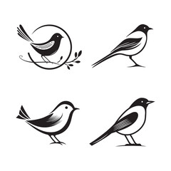 Minimal birds black icon, illustration, vector on white background