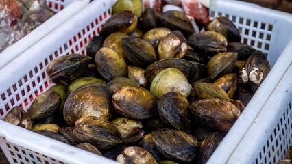 fresh unpeeled mussels in a basket at the asian market