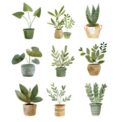 A collection of hand-drawn potted houseplants showcasing various green plants in different decorative pots.