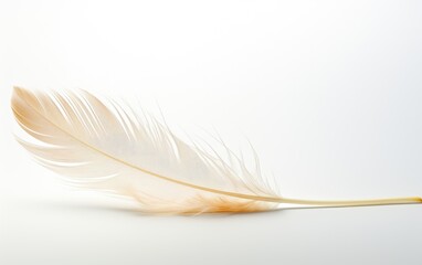 Obraz premium Delicate Minimalism - Single Feather Floating on White Background with Copyspace for Text | Soft Realistic Photography of Light and Airy Plume