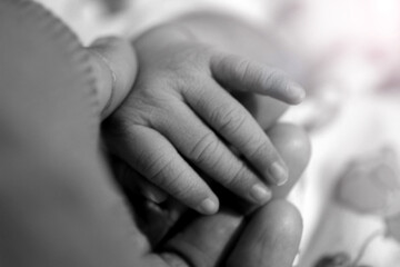 Hands of parent and new born baby. Mom and first baby girl's hands in black and white background.