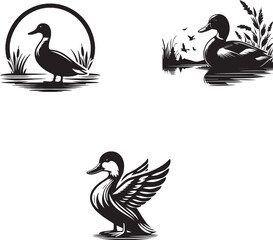 set of ducks black and white swans