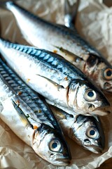 Fototapeta premium Four raw mackerels on brown paper