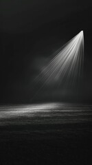 Empty stadium lit by a single spotlight, creating long shadows, Dramatic, Monochromatic, High contrast, Digital painting