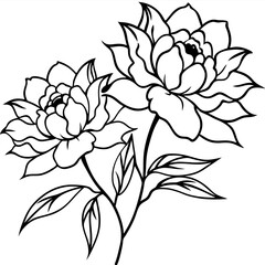 Plants with flower coloring pages. Flower outline