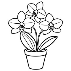 Plants with flower coloring pages. Flower outline