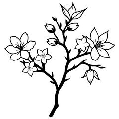 Plants with flower coloring pages. Flower outline