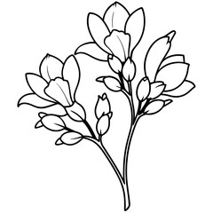 Plants with flower coloring pages. Flower outline