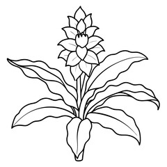 Plants with flower coloring pages. Flower outline