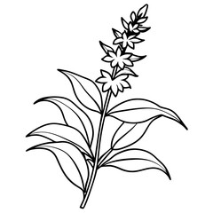 Plants with flower coloring pages. Flower outline